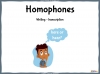 Homophones - Years 3 and 4 Teaching Resources (slide 1/23)